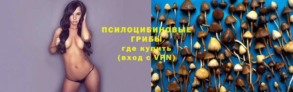 стафф Пересвет