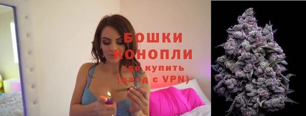 стафф Пересвет