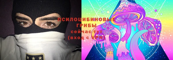 МДПВ Чекалин