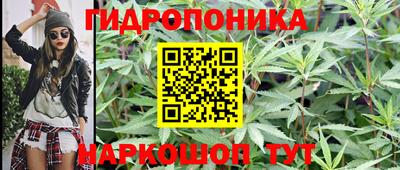 дмт Донской