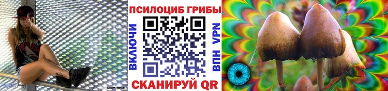Галлюциногенные грибы GOLDEN TEACHER Тобольск