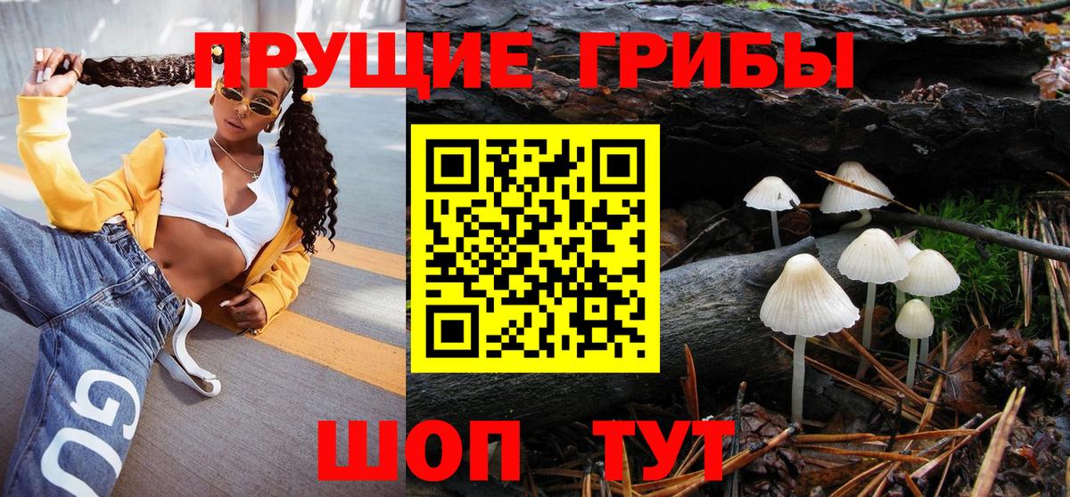 Тобольск  Псилоцибиновые грибы MAGIC MUSHROOMS  Вход с VPN 