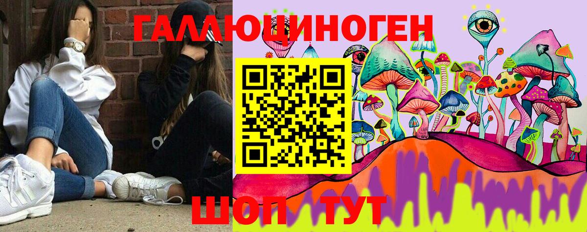 Галлюциногенные грибы Psilocybine cubensis  наркота  Тобольск 